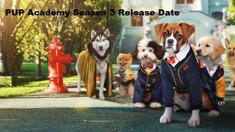 PUP Academy Season 3 Release Date