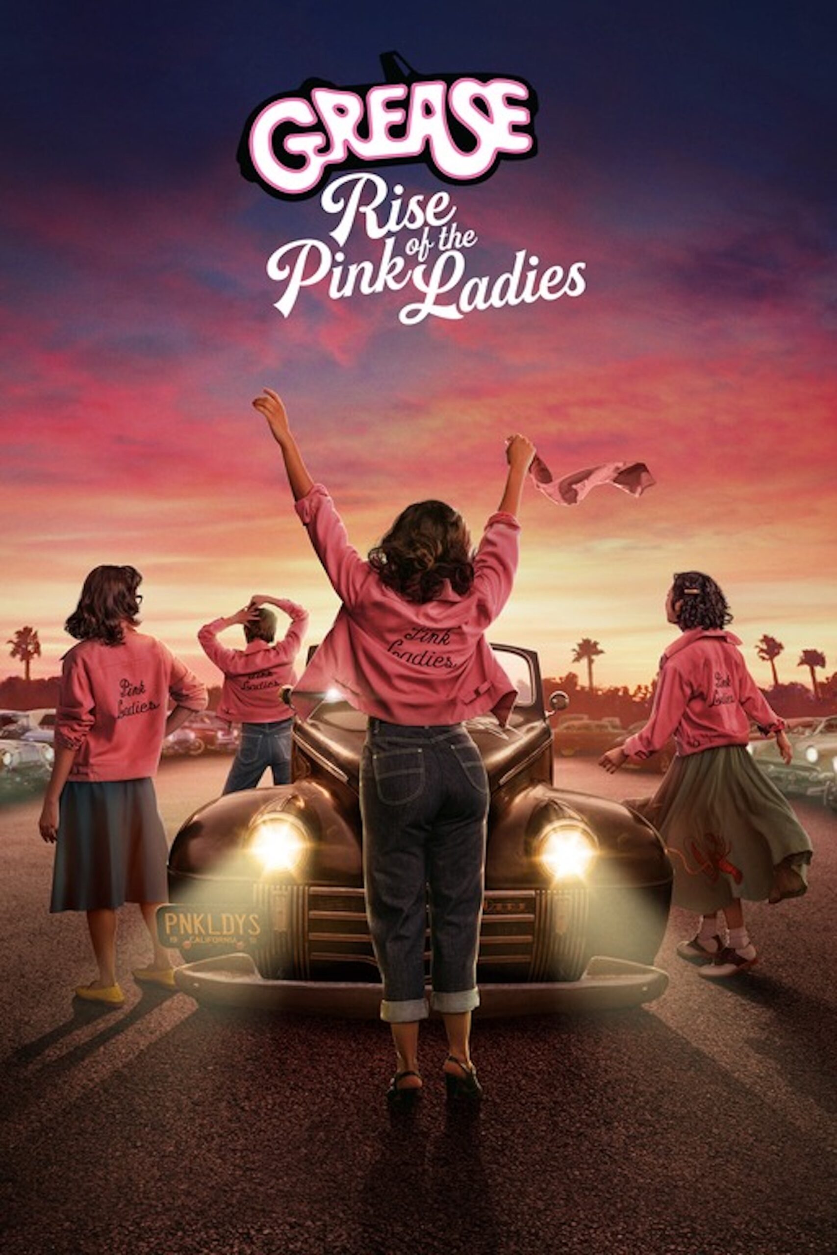 rise of the pink ladies saved by dvd and vod release after fan outcry
