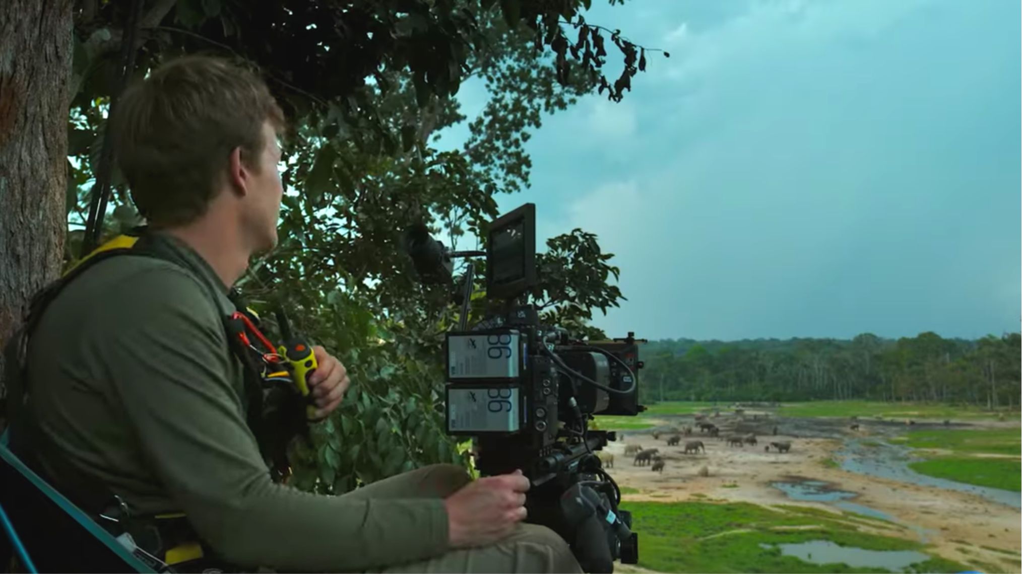 ‘animals up close with bertie gregory’ trailer features director in the wild (video)